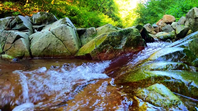 A serene forest stream flowing over rocks, surrounded by lush greenery.