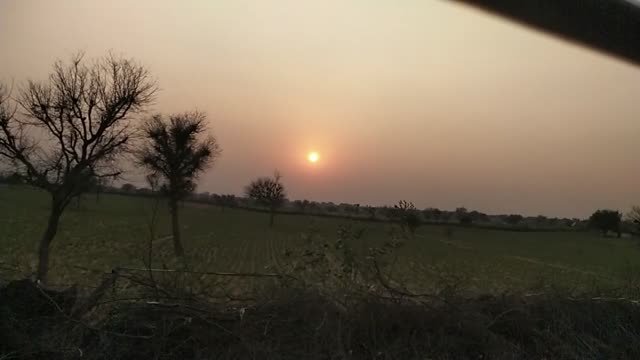 Peaceful sunset view of open fields with scattered trees.