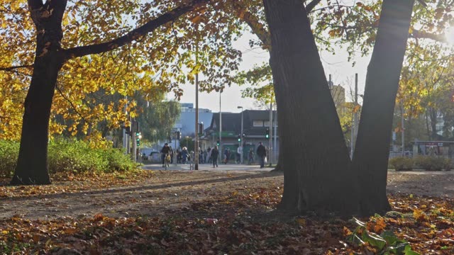 Cyclists ride through a sunlit autumn park with golden leaves and vibrant trees.