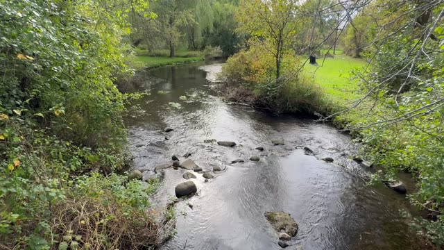 Peaceful river scene with trees and rocks, ideal for relaxation or nature themes.