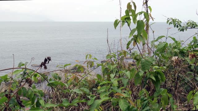 Explore a serene coastal scene with lush greenery and expansive ocean views.