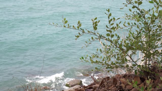 Peaceful ocean scene with gentle waves hitting the rocky shore and greenery.