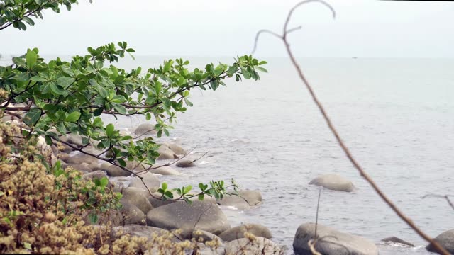 A peaceful rocky shoreline with gentle sea waves and lush greenery.