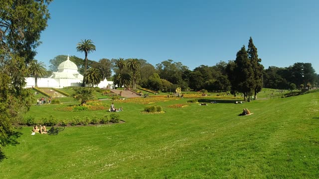 Beautiful garden with trees and clear sky, perfect for nature lovers.