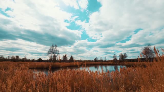 Peaceful autumn lake 