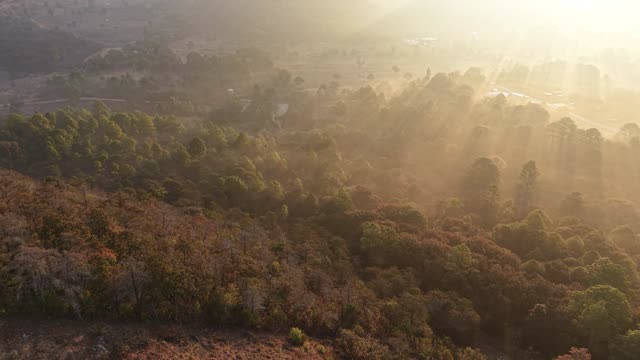 Aerial view of sunlit Chiapas forests at sunrise.