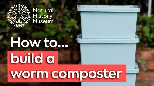 How to build a worm composter: A simple DIY vermicomposting project