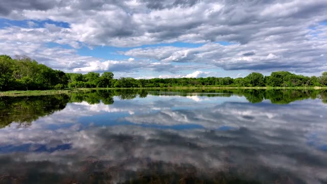 Serene lake reflecting lush trees and cloudy sky on a calm day.