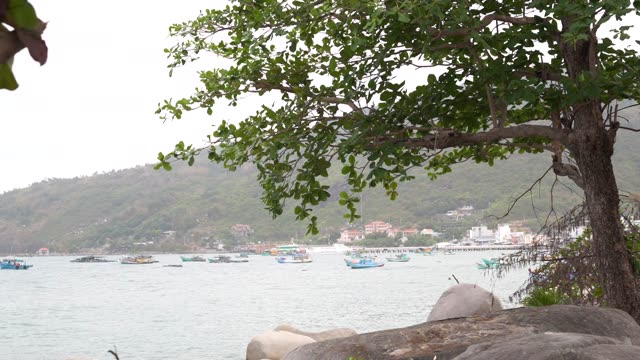 Serene coastal scene with boats and tree, perfect for tranquil projects.