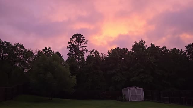 Peaceful sunset with vibrant sky over a dense forest and garden.