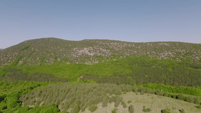 Experience breathtaking aerial views of lush forested mountains in this HD footage.