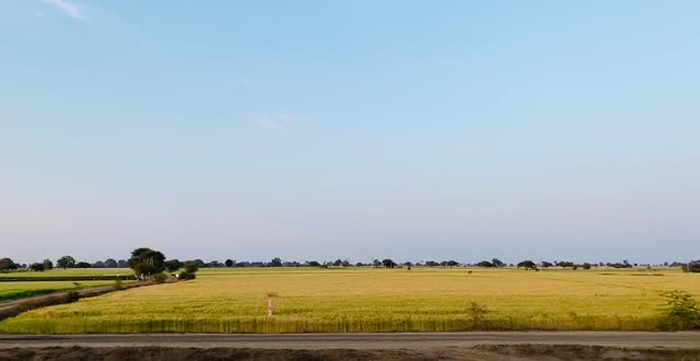 Rural landscapes 